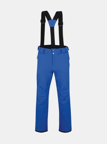 Pánské lyžařské kalhoty DARE2B DMW460 Achieve  Modrá
