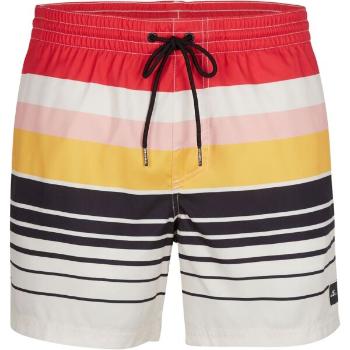 O'Neill HORIZON SHORTS Pánské plavecké šortky, mix, velikost L