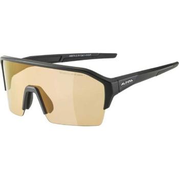 Alpina Sports RAM HR Q-LITE V Fotochromatické brýle, černá, velikost UNI