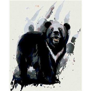 Malování podle čísel - Medvěd baribal (HRAmal01152nad)