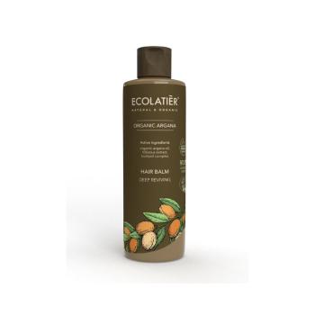 Hluboce vyživující kondicionér na vlasy Organic Argan - 250ml - Ecolatier