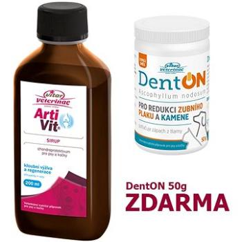 Vitar Veterinae Artivit sirup 200 ml + Zdarma DentOn 50 g (8595011137309)