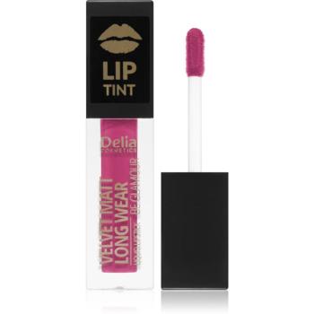 Delia Cosmetics Lip Tint matná tekutá rtěnka odstín 014 Baby Diva 5 ml