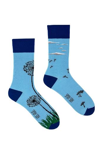 Modré ponožky Dandelion