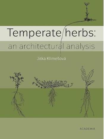 Temperate herbs - Klimešová Jitka