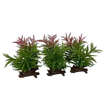 Ebi Terra Della Rostlina umělá Crassula mix barev 16 cm (4047059465868)