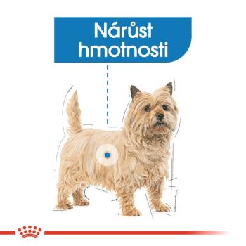 Royal Canin Mini Light Weight Care 1 kg