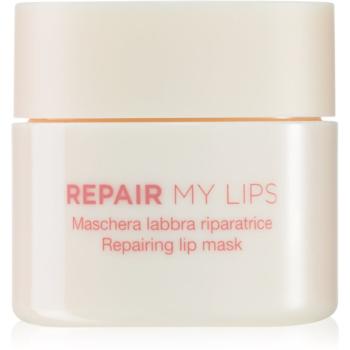 Diego dalla Palma REPAIR MY LIPS hydratační maska na rty 25 ml