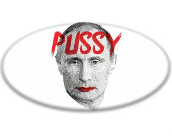 3D samolepky ovál - 5ks Pussy Putin