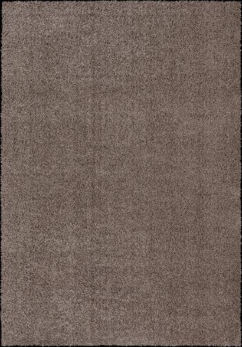 Festival koberce Kusový koberec Queens 1200 Taupe - 60x110 cm Hnědá
