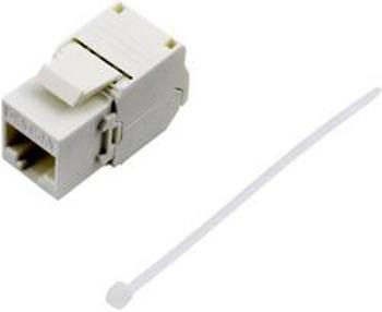 Spojka, rovná TRU COMPONENTS 93038C363, RJ45 bílá, 1 ks