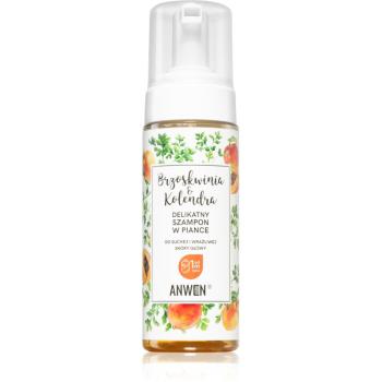 Anwen Peach & Coriander čisticí pěna pro suchou a citlivou pokožku hlavy 170 ml