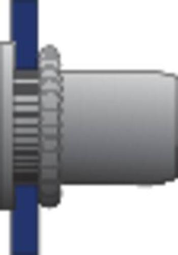 Bralo Slepá nýtovací matice z malé zápustné hlavy, s otevřenými hlavicemi s pojistnou maticí 16.8 mm Ocel 250 ks