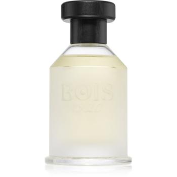 Bois 1920 Classic 1920 parfémovaná voda unisex 100 ml