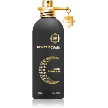 Montale Oud Dream parfémovaná voda unisex 100 ml