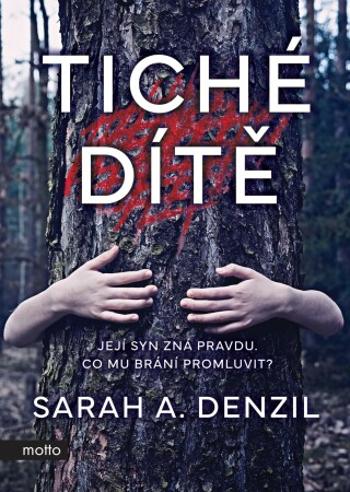 Tiché dítě - Sarah A. Denzil - e-kniha