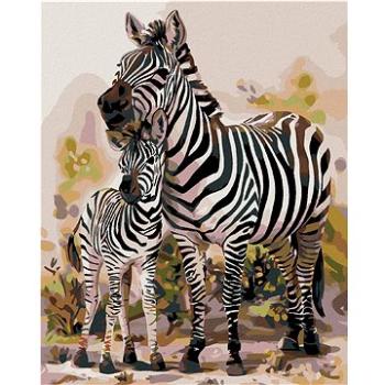 Diamondi - Diamantové malování - ZEBRA S MLÁDĚTEM, 40x50 cm, bez rámu a bez vypnutí plátna (606213A)