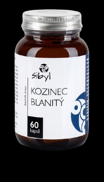 Sibyl Kozinec blanitý 60 kapslí