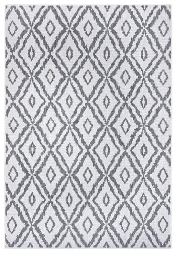 NORTHRUGS - Hanse Home koberce Kusový koberec Twin-Wendeteppiche 105482 Silver - 80x350 cm Šedá