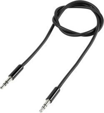 Jack audio kabel SpeaKa Professional SP-7870052, 5.00 m, černá