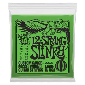 Ernie Ball Nickel Wound 12-String Slinky