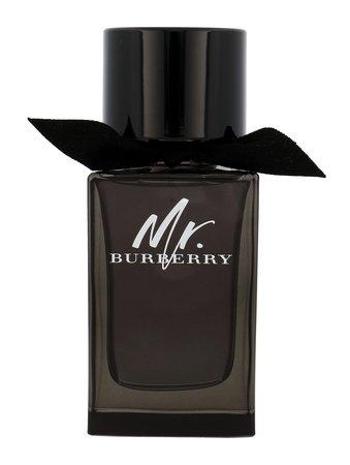 Pánská parfémová voda Mr. Burberry Eau de Parfum, 100ml