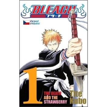 Bleach 1 (978-80-7449-124-5)