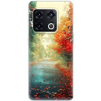 iSaprio Autumn 03 pro OnePlus 10 Pro (aut03-TPU3-op10pro)