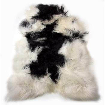 Bílo-černá ovčí kůže z Islandské ovce Iceland - 115*75*5cm POVYGM