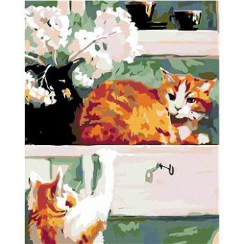 Malování podle čísel - Kočky pod oknem (HRAmal00938nad)