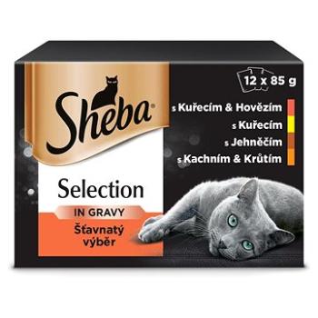 Sheba kapsička masový výběr ve šťávě pro dospělé kočky 12 × 85 g (3065890095939)