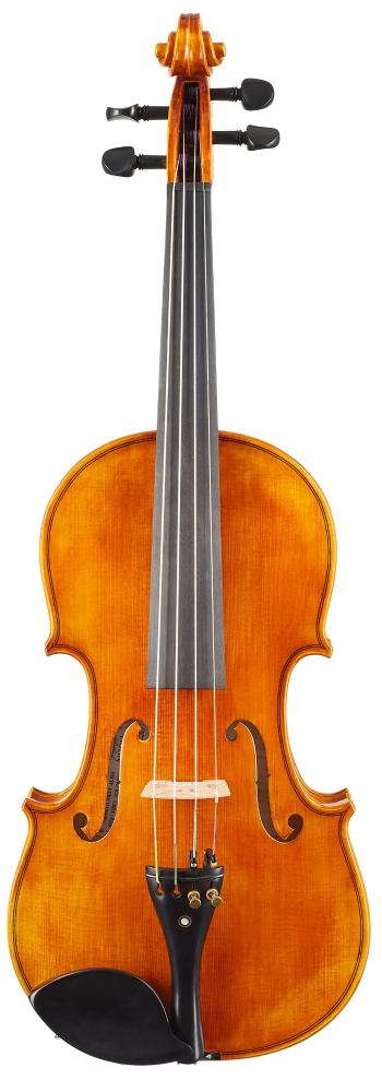 Violin Schönbach Golden