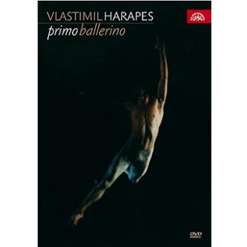 Harapes Vlastimil: Primo ballerino - DVD (SU7017-9)