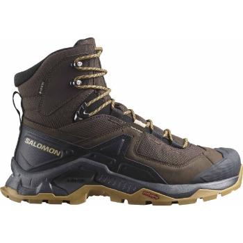 Salomon QUEST ELEMENT GTX Pánská kožená turistická obuv, hnědá, velikost 45 1/3