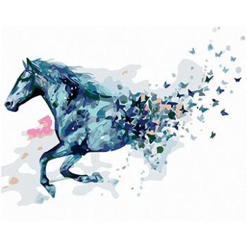 Malování podle čísel - Abstraktní kůň modrý (HRAmal00959nad)