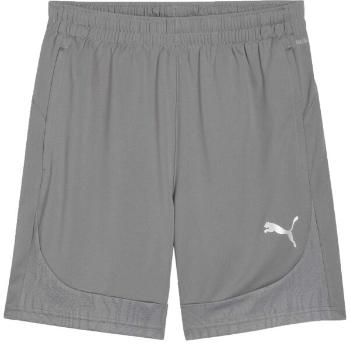 Puma TEAMFINAL TRAINING SHORTS Pánské sportovní kraťasy, šedá, velikost