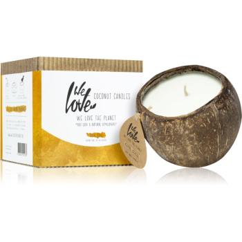 We Love The Planet You Love a Natural Atmosphere Cool Coco dekorativní svíčka natural 190 g