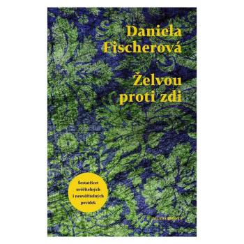 Želvou proti zdi – Daniela Fischerová