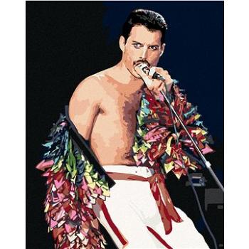 Malování podle čísel - Freddie Mercury (HRAmal00172nad)