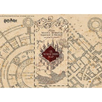 Dětská fototapeta Harry Potter Marauders Map 252 x 182 cm, 4 díly