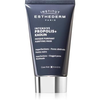 Institut Esthederm Intensive Propolis+ Purifying Mask čisticí maska pro problematickou pleť, akné 75 ml