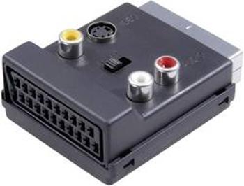 SCART / cinch / S-video Y adaptér SpeaKa Professional SP-7870356, černá