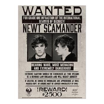 Minalima Plakát Newt Scamander - Fantastické zvěře