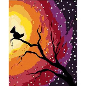 Malování podle čísel - Ptáček na větvi a noční obloha (HRAmal00689nad)