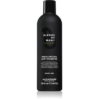Alfaparf Milano Blends of Many Rebalancing šampon proti lupům 250 ml