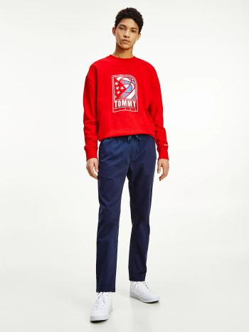 Tommy Jeans pánské tmavě modré kalhoty - L/R (C87)