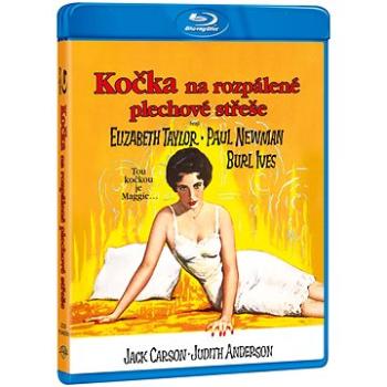 Kočka na rozpálené plechové střeše - Blu-ray (W01898)