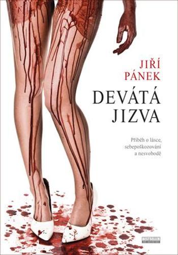 Devátá jizva - Pánek Jiří