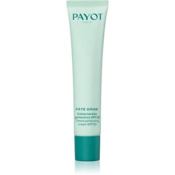 Payot Pâte Grise Crème Teintée Perfectrice SPF30 tónovací sjednocující korekční péče proti nedokonalostem pleti a stopám po akné SPF 30 40 ml