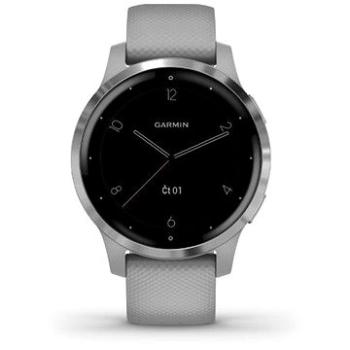 Garmin Vívoactive 4S Silver Gray (010-02172-03)